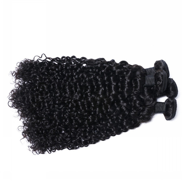 Indian Hair Weave Virgin Human Curly Hair Extensions Remy Hair Bundles Emeda Supplier   LM239